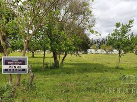  Land for sale in Colon, Entre Rios, Colon