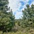  Land for sale in Rio Negro, Bariloche, Rio Negro