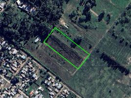  Land for sale in La Plata, Buenos Aires, La Plata