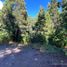  Land for sale in Rio Negro, Bariloche, Rio Negro