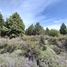  Land for sale in Rio Negro, Bariloche, Rio Negro