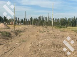  Land for sale in Confluencia, Neuquen, Confluencia