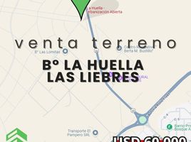  Grundstück zu verkaufen in Federal Capital, Buenos Aires, Federal Capital