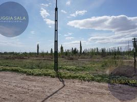  Terreno (Parcela) en venta en General Roca, Rio Negro, General Roca