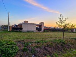  Land for sale in Rosario, Santa Fe, Rosario