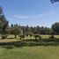  Land for sale in La Plata, Buenos Aires, La Plata