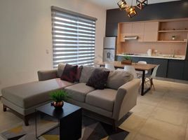 1 Bedroom Apartment for rent in Torreon, Coahuila, Torreon