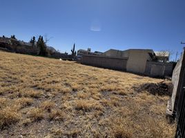  Grundstück zu vermieten in Chihuahua, Chihuahua, Chihuahua, Chihuahua