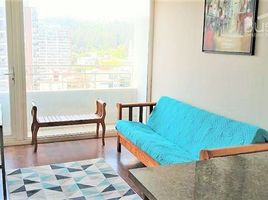 1 Bedroom Apartment for rent in Chile, Concepcion, Concepción, Biobío, Chile