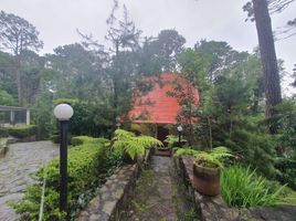멕시코PropertyTypeNameBedroom, 발레 드 브라보, 멕시코