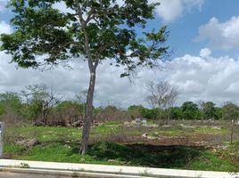  Grundstück zu verkaufen in Yaxkukul, Yucatan, Yaxkukul