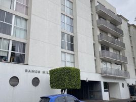 2 Schlafzimmer Wohnung zu vermieten in Miguel Hidalgo, Mexico City, Miguel Hidalgo, Mexico City, Mexiko