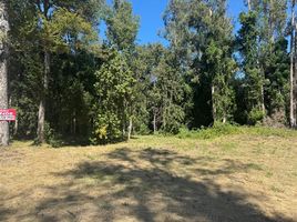  Terreno (Parcela) en venta en Universidad de la Frontera Campus Pucón, Pucón, Pucón
