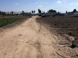  Terreno (Parcela) en venta en Ensenada, Baja California, Ensenada