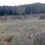  Land for sale in Patzcuaro, Michoacan, Patzcuaro