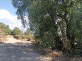  Grundstück zu verkaufen in Chiautla, Mexico, Chiautla