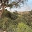  Land for sale in Cuauhtemoc, Colima, Cuauhtemoc