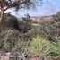  Land for sale in Cuauhtemoc, Colima, Cuauhtemoc