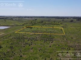  Land for sale in La Plata, Buenos Aires, La Plata