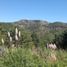  Land for sale in Santa Maria, Cordoba, Santa Maria