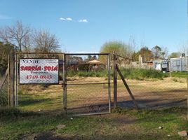  Grundstück zu verkaufen in Tigre, Buenos Aires, Tigre