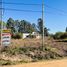  Land for sale in Colon, Entre Rios, Colon