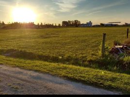  Land for sale in La Plata, Buenos Aires, La Plata