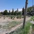  Terreno (Parcela) en venta en Las Heras, Mendoza, Las Heras