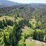  Land for sale in Argentina, Bariloche, Rio Negro, Argentina