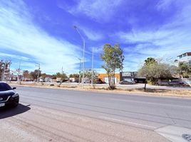  Terreno (Parcela) en alquiler en Aguascalientes, Jesus Maria, Aguascalientes