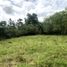  Land for sale in Tamesis, Antioquia, Tamesis