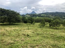  Terrain for sale in Tamesis, Antioquia, Tamesis