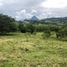  Land for sale in Tamesis, Antioquia, Tamesis