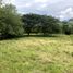  Land for sale in Tamesis, Antioquia, Tamesis