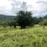  Land for sale in Tamesis, Antioquia, Tamesis