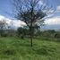  Land for sale in Tamesis, Antioquia, Tamesis