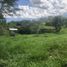  Land for sale in Tamesis, Antioquia, Tamesis