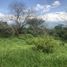  Terrain for sale in Tamesis, Antioquia, Tamesis