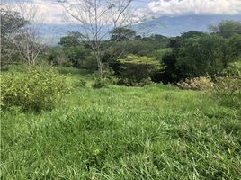  Terrain for sale in Tamesis, Antioquia, Tamesis