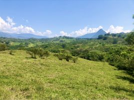  Terrain for sale in Tamesis, Antioquia, Tamesis