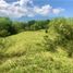  Land for sale in Tamesis, Antioquia, Tamesis