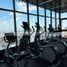 在Monterrey, Nuevo Leon出租的3 卧室 公寓, Monterrey