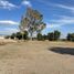  Land for sale in Mixtla, Puebla, Mixtla