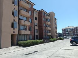 2 Habitación Apartamento en alquiler en Concepción, Biobío, Coronel, Concepción
