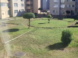 3 Schlafzimmer Wohnung zu vermieten in Biobío, Talcahuano, Concepción, Biobío