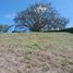  Land for sale in Neira, Caldas, Neira