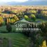  Terreno (Parcela) en venta en Chile, Villarrica, Cautín, Araucanía, Chile