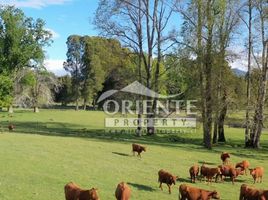  Terreno (Parcela) en venta en Chile, Villarrica, Cautín, Araucanía, Chile