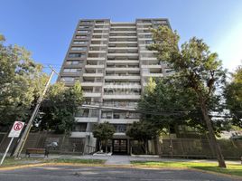 2 Habitación Apartamento en alquiler en San Jode de Maipo, Cordillera, San Jode de Maipo