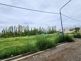  Terreno (Parcela) en venta en Neuquen, Confluencia, Neuquen